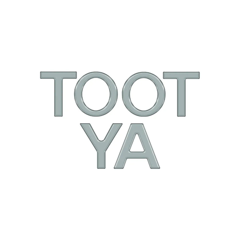 2016-2023 Toyota Tacoma Grille Letter Overlays