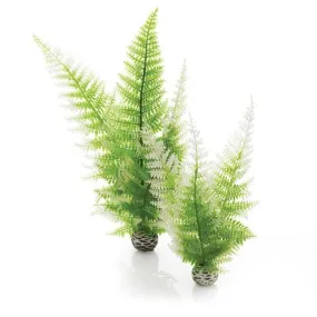 biOrb Aquatic Winter Fern Set 2