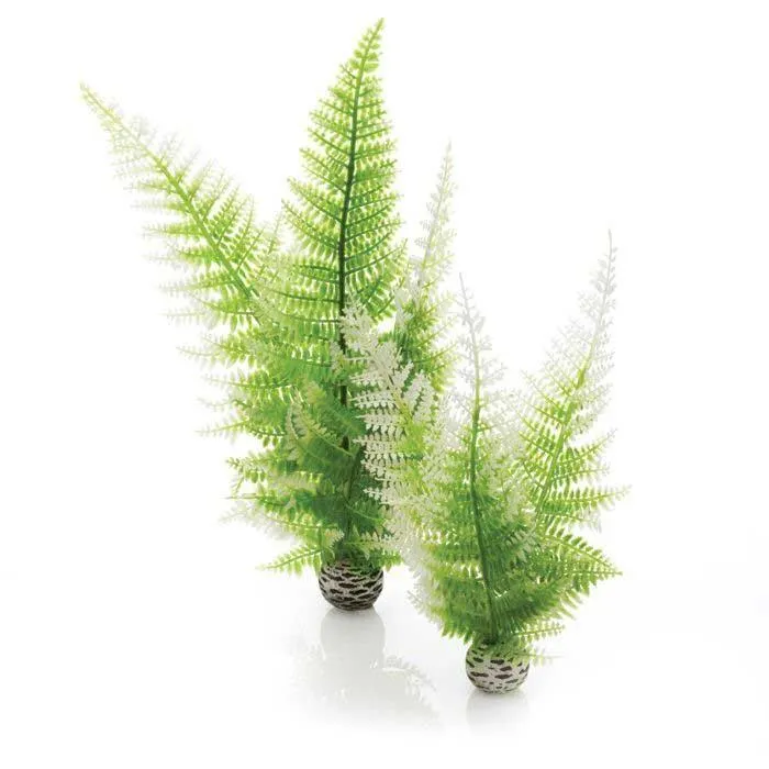 biOrb Aquatic Winter Fern Set 2