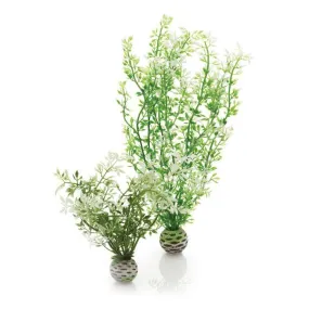 biOrb Aquatic Winter Flower Set 2