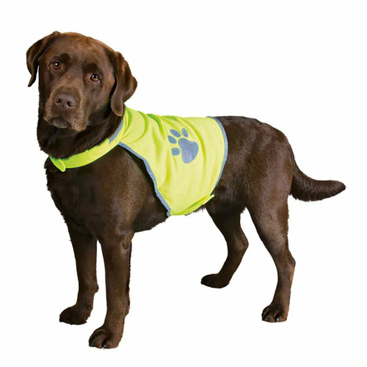 Gilet pour Chien Trixie Jaune M